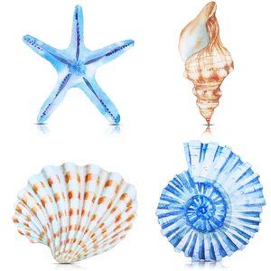 4 Pcs Beach Wall Decor Seashell Starfish Bathroom Decor Rustic Ocean Coastal🐶